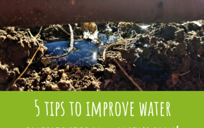 Five tips for improving water infiltration