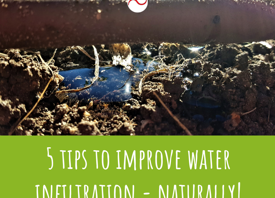 Five tips for improving water infiltration