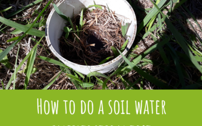 How to do a soil water infiltration test