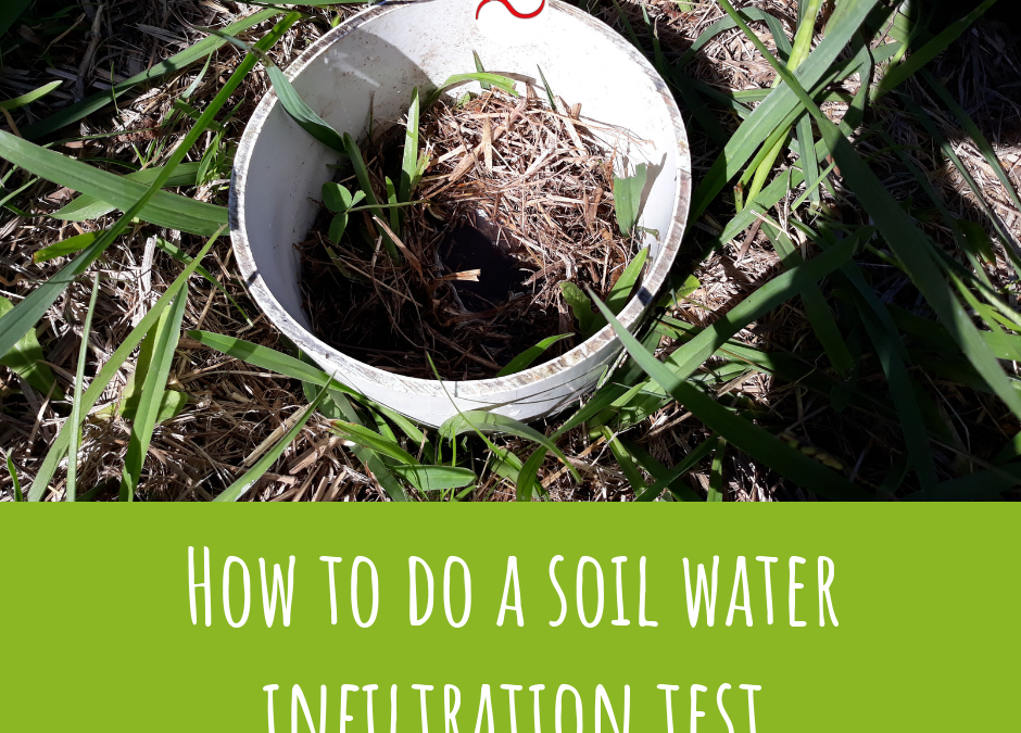 How to do a soil water infiltration test