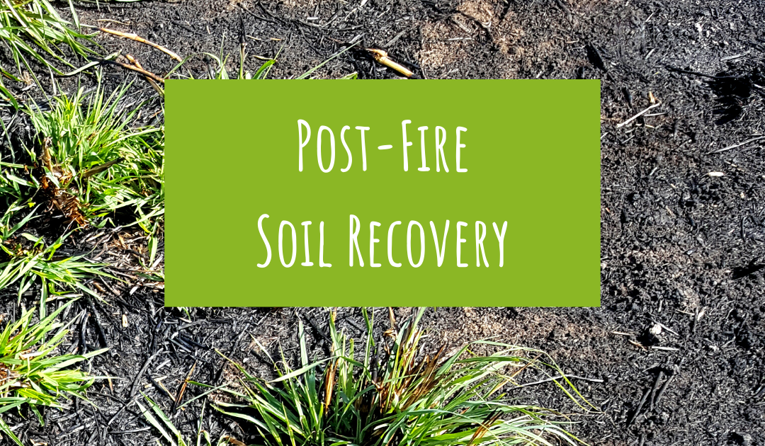 Post-fire soil recovery