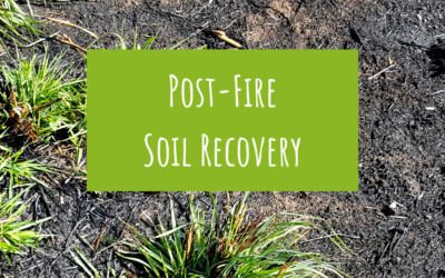 Post-fire soil recovery