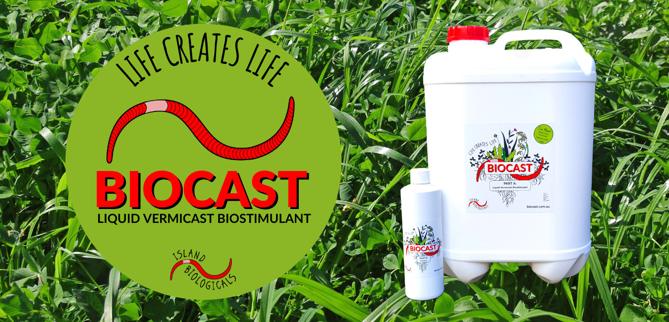 Biocast liquid vermicast biostimulant