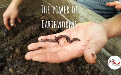 The power of Earthworms