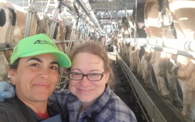 Grower stories: Karyn and Carissa’s inoculated seed for pasture