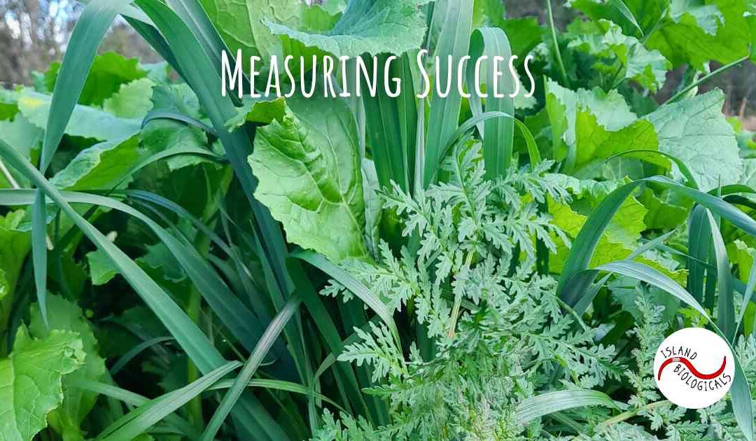 Measuring Success