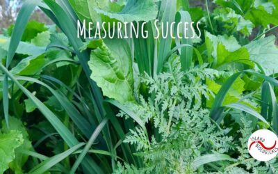 Measuring Success