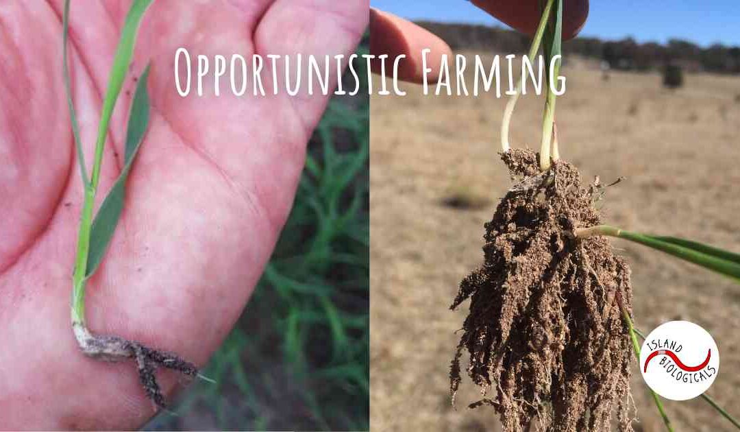 Opportunistic Farming