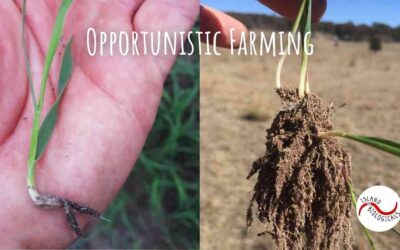 Opportunistic Farming