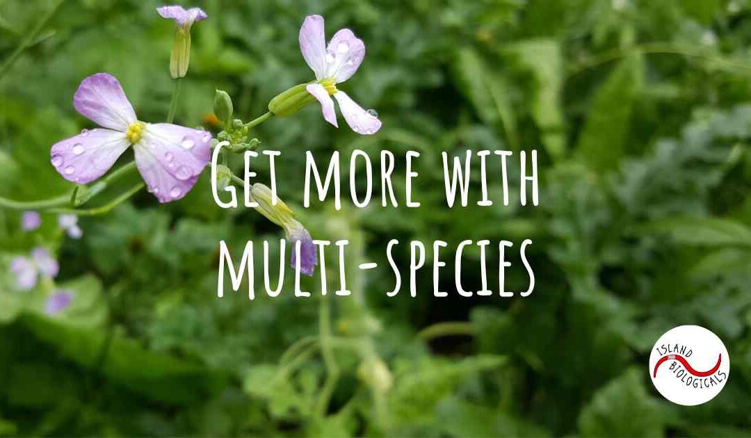 Get more with multi-species