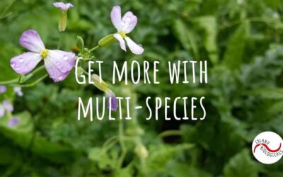 Get more with multi-species