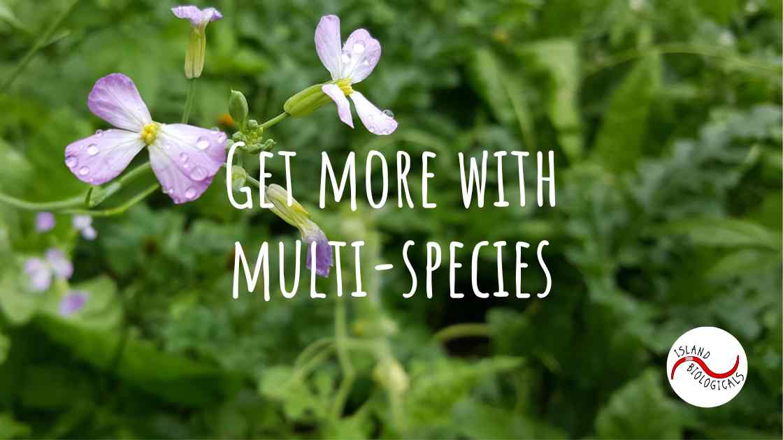 Get more with multi-species