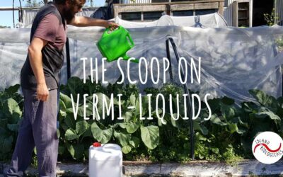 The scoop on vermi-liquids