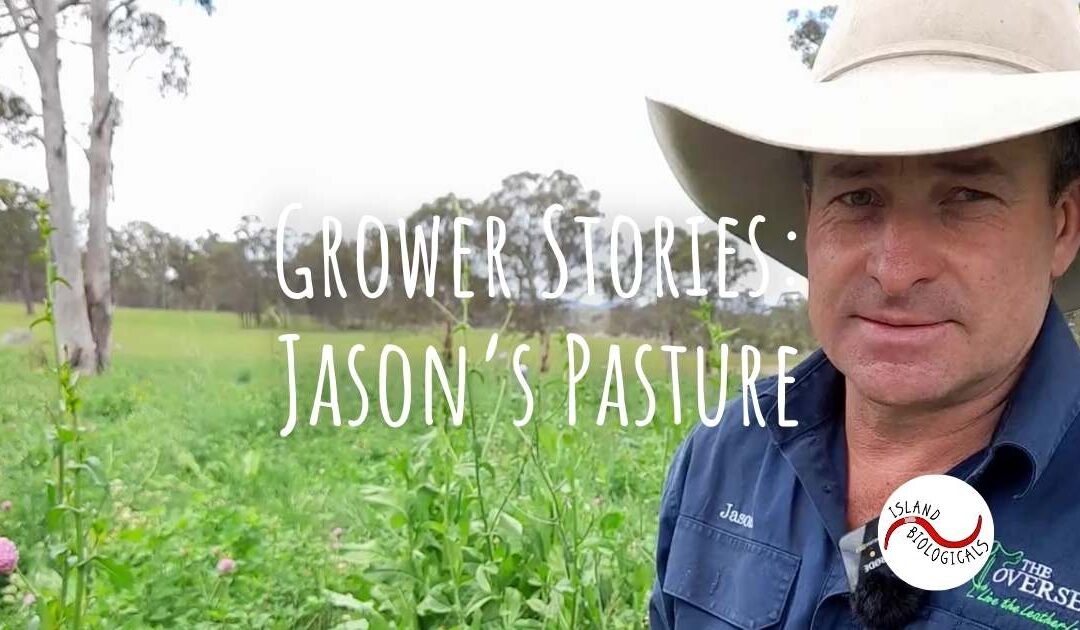 Grower stories: Jason’s pasture