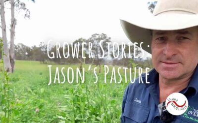 Grower stories: Jason’s pasture