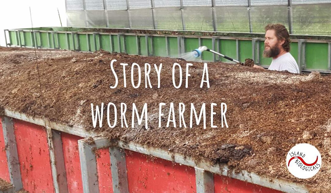 Story of a worm farmer