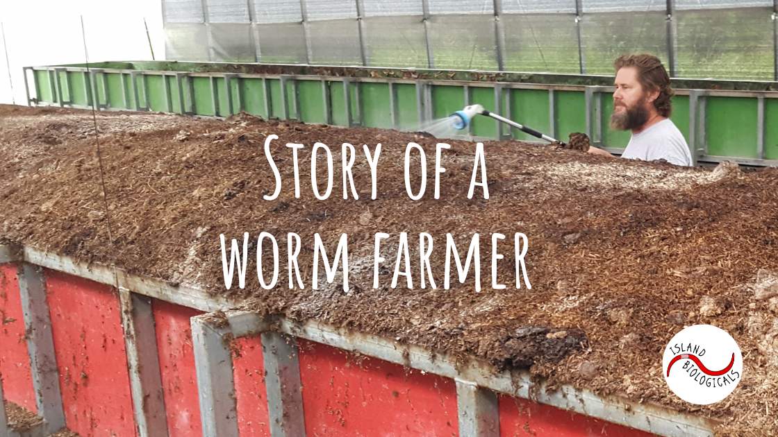 Story of a worm frmer