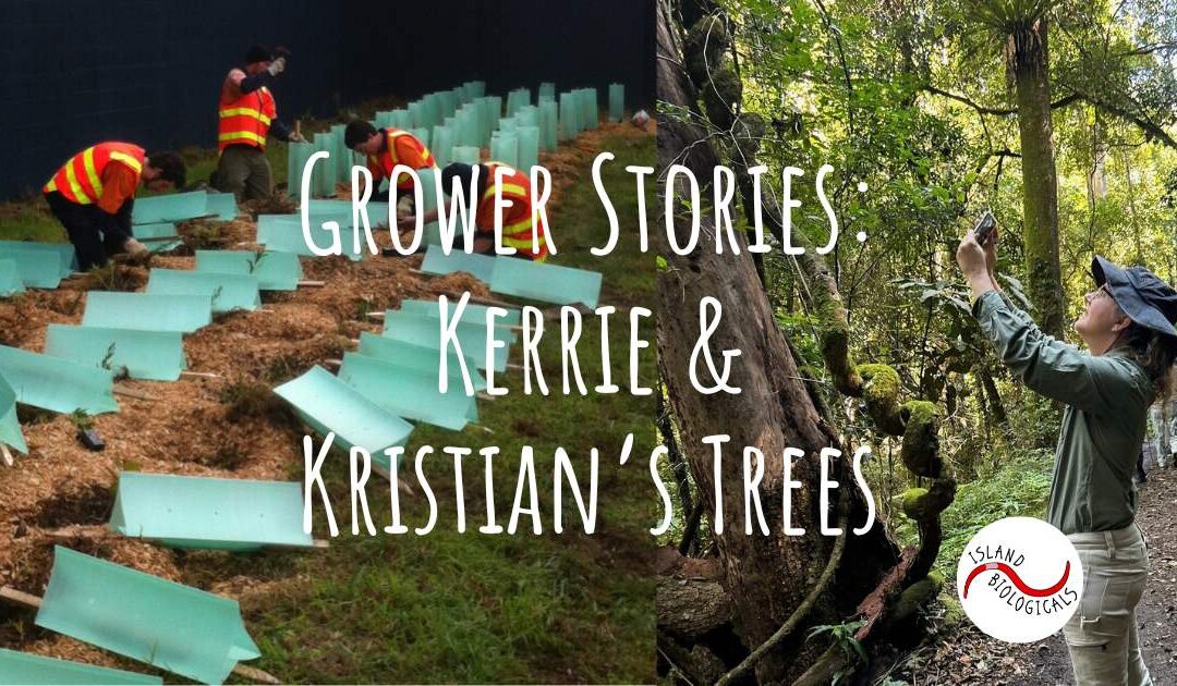 Grower Stories: Kerrie and Kristian’s Trees