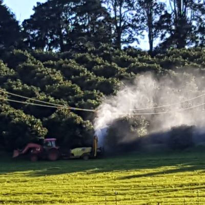 square 20210614_154054 small Biocast foliar spray on avocado orchard