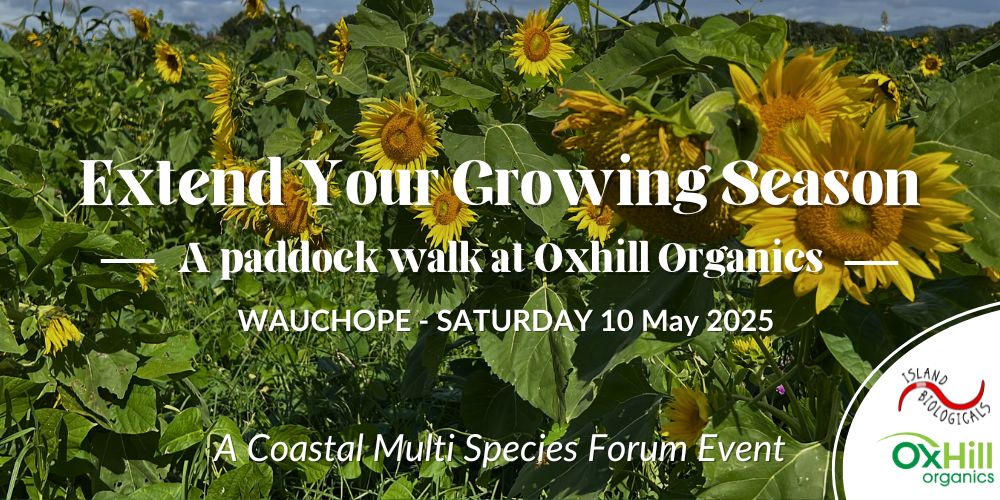Extend your growing season: a paddock walk at Oxhill Organics